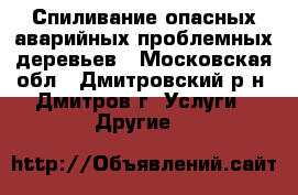 Спиливание опасных аварийных проблемных деревьев - Московская обл., Дмитровский р-н, Дмитров г. Услуги » Другие   